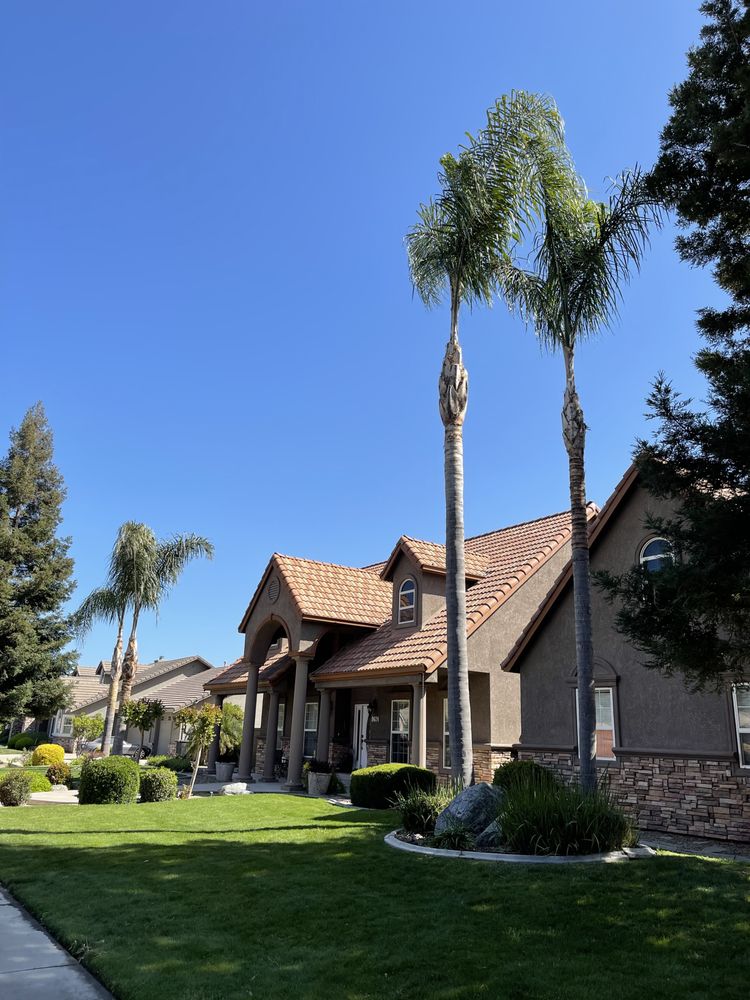 C&S Tree Care