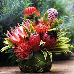 Hawaiian Magic Tropical Flowers gift card