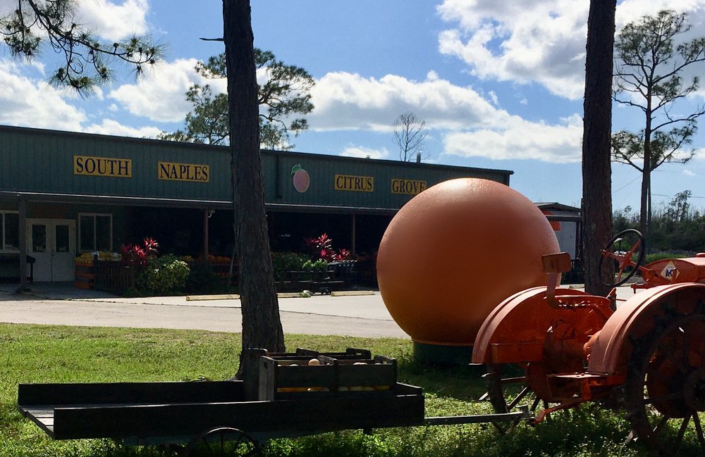 South Naples Citrus Grove