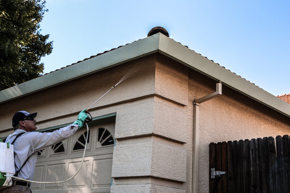 EcoGuard Pest Management