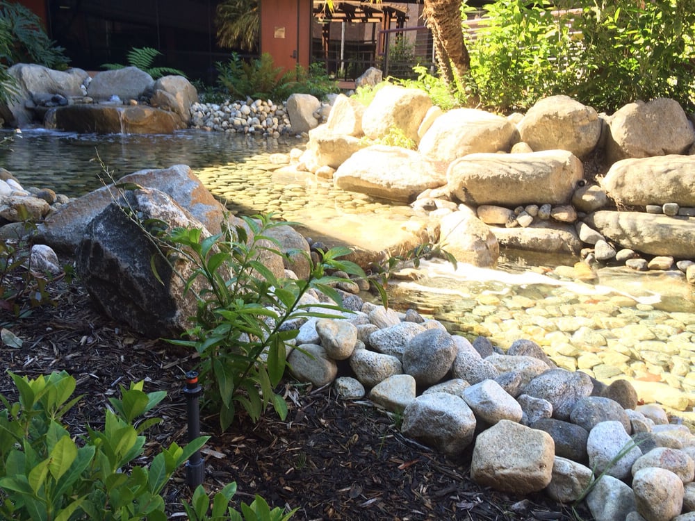 MUV Physical Therapy