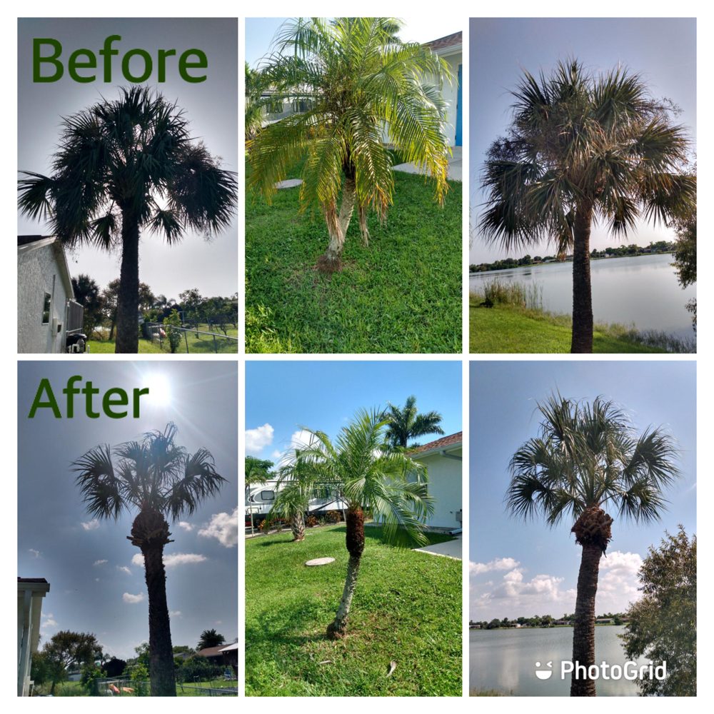 Ransom Landscaping