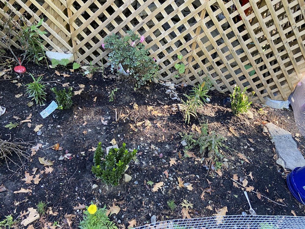 Long Cloud Carpentry and Landscaping