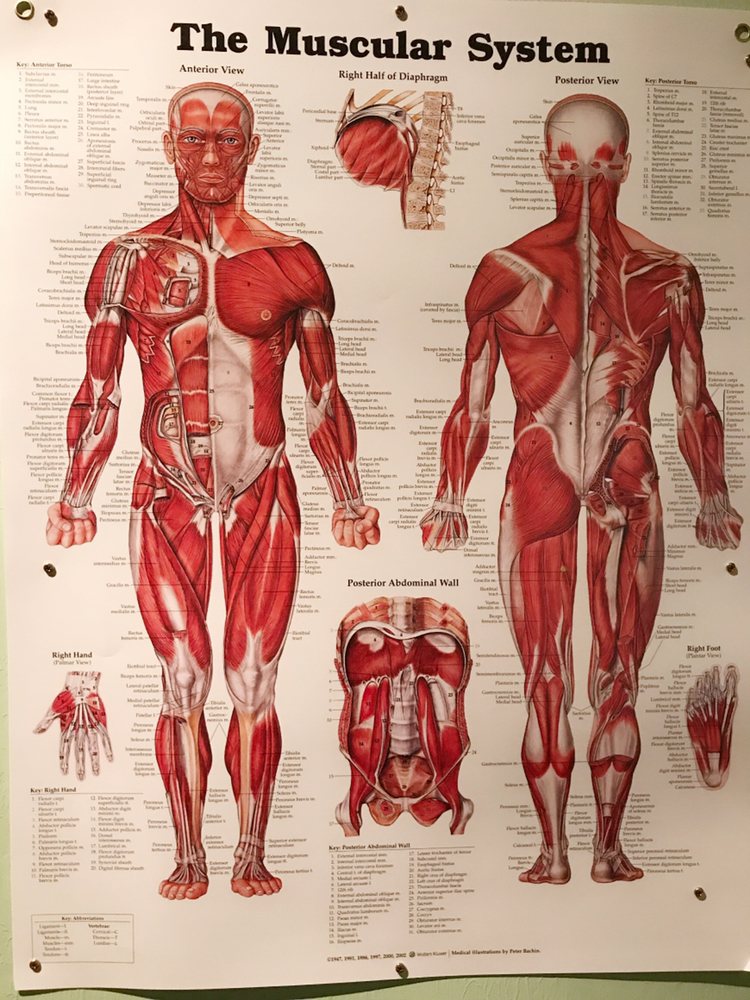 Massage # 7