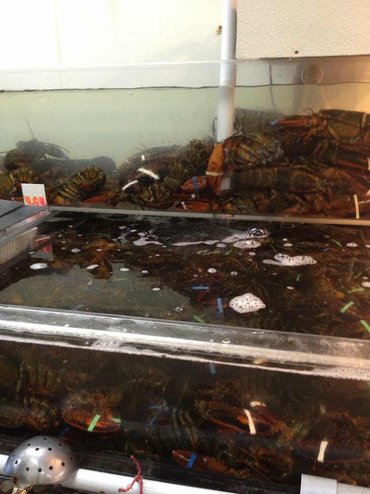 Seafood Restaurants In Oakland Ca Seafood Restaurants In Oakland Ca