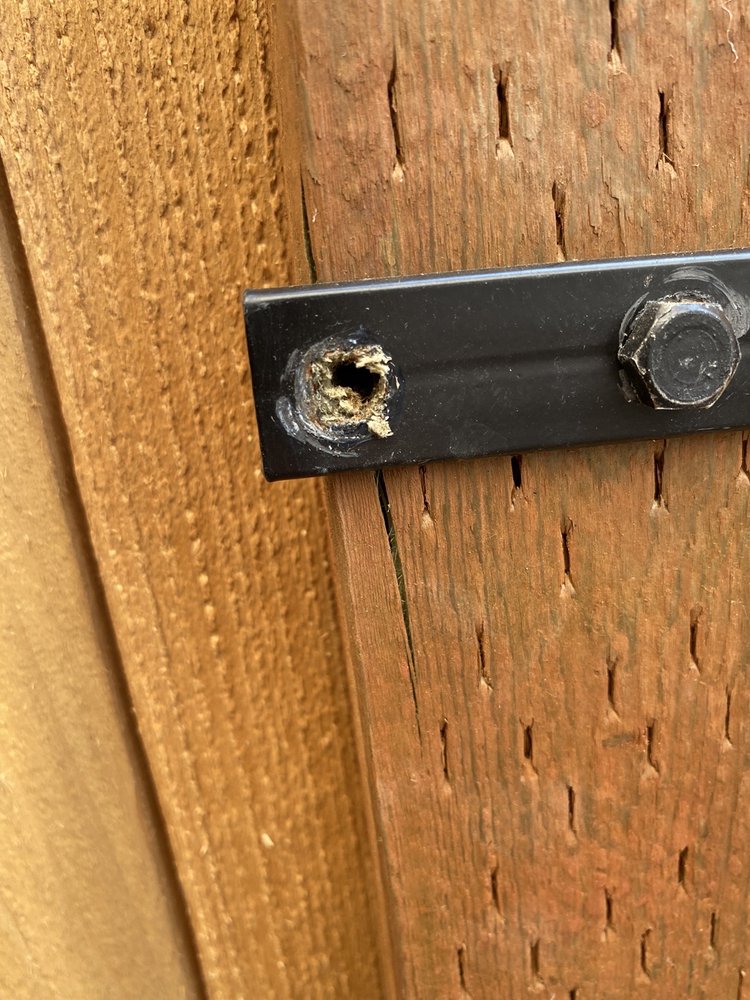 Conure Landscaping and Construction