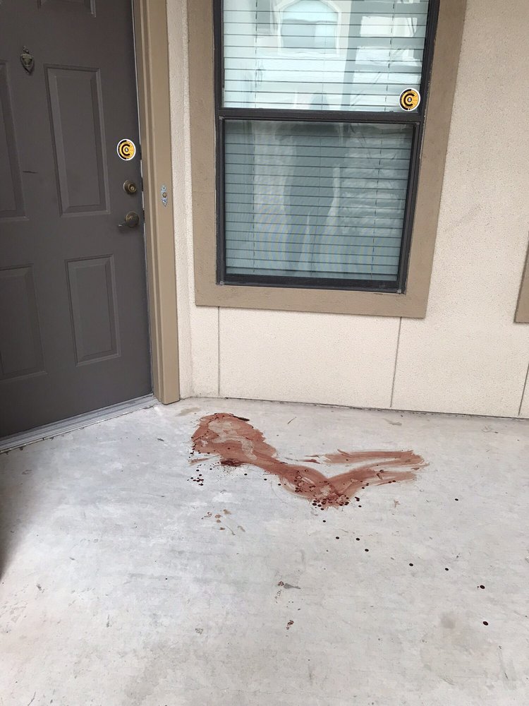 Woke Up One Morning To A Blood Bath At My Front Door