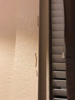 Budget Brothers Termite Pest Elimination 610 E Bell Rd Budget Brothers Termite Pest Elimination 610 E Bell Rd