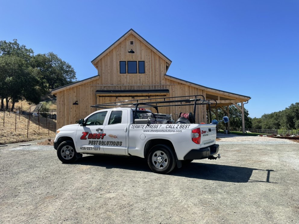 Z Best Pest Solutions