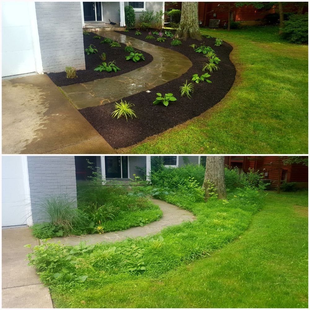 HG Grass Care
