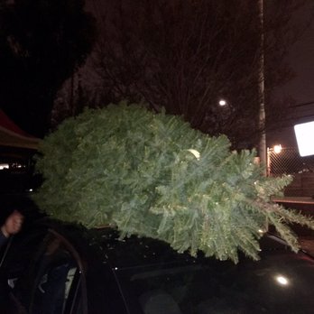 Delancey Street Christmas Tree Lot - 37 Reviews - Christmas Trees Photo of Delancey Street Christmas Tree Lot - Santa Monica, CA, United States. - Delancey Street Christmas Tree Lot - 37 Reviews - Christmas Trees
