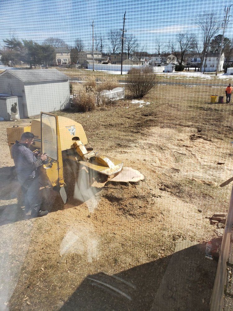 Prate's Tree Services