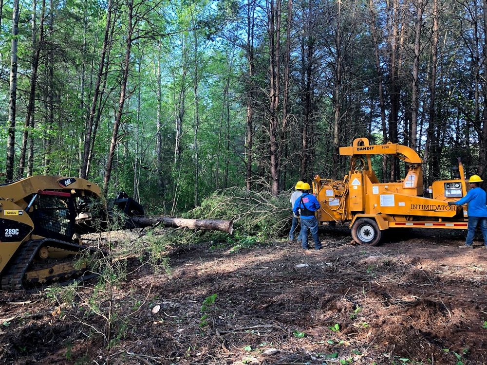 TeamEdit Landscaping And Tree Service