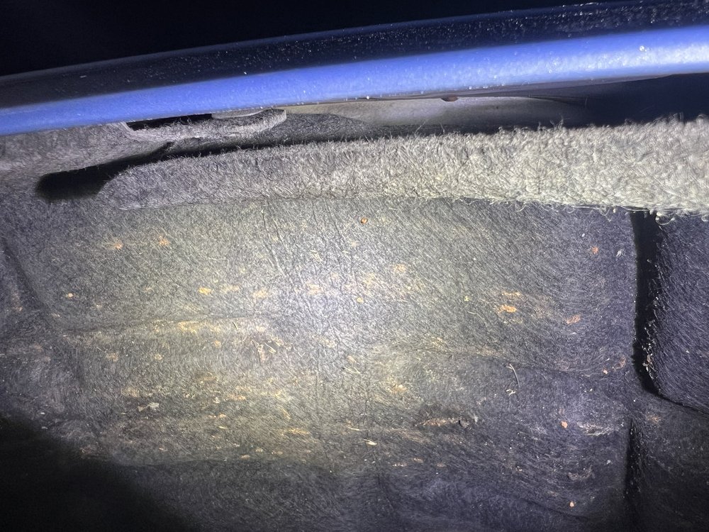 Hendrick Collision Center of Concord