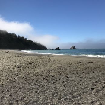 Navarro Beach Campground 46 Photos Campgrounds Hwy 128 1 Photo Of Navarro Beach Campground Ca United States