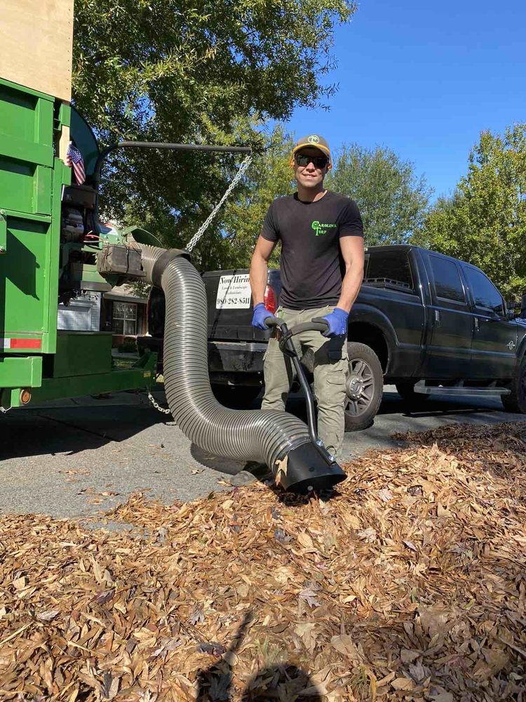 Carolina Turf Lawn And Landscape