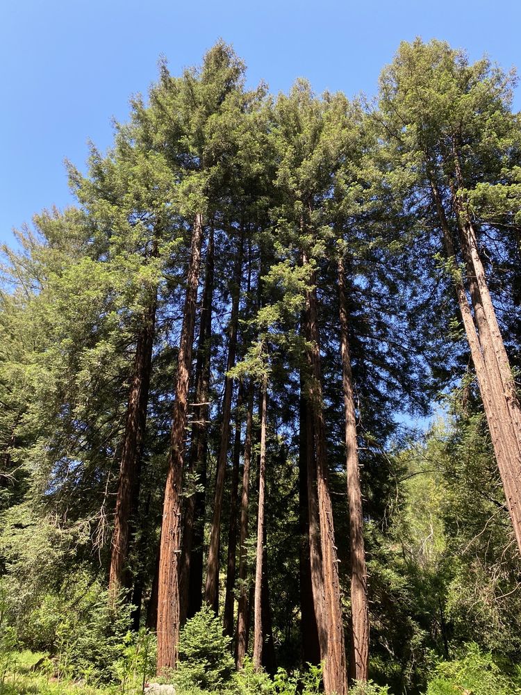 Mill Valley Golf Course