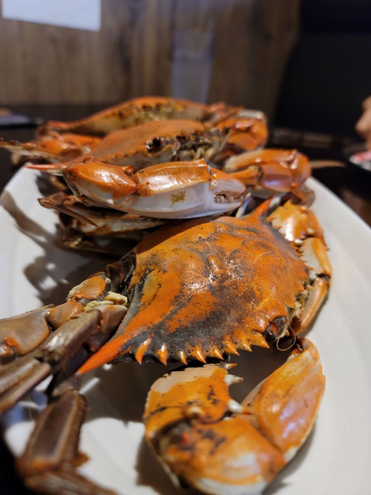 Feasty crab