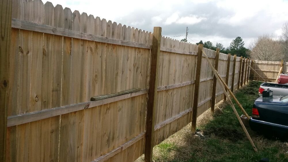 All About Animals NC