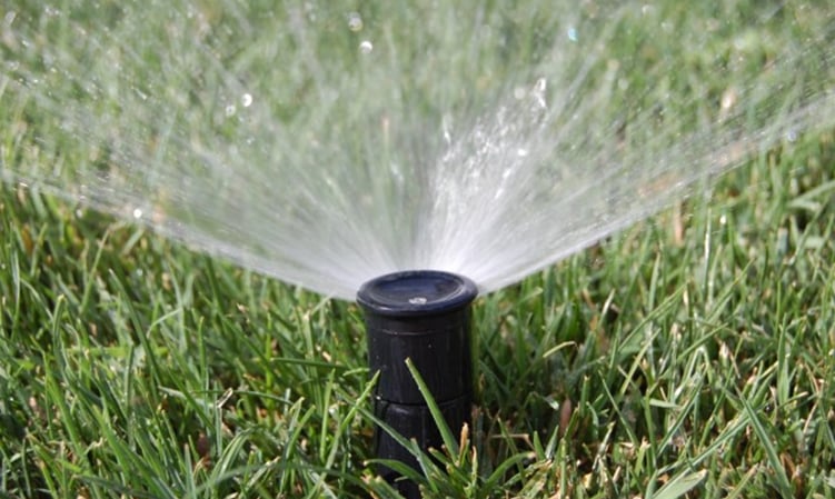 Mccutcheon Irrigation