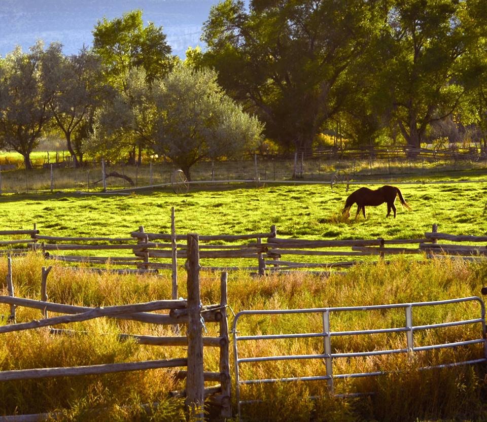 TurnAbout Ranch Counseling & Mental Health 280 N 300 E, Escalante