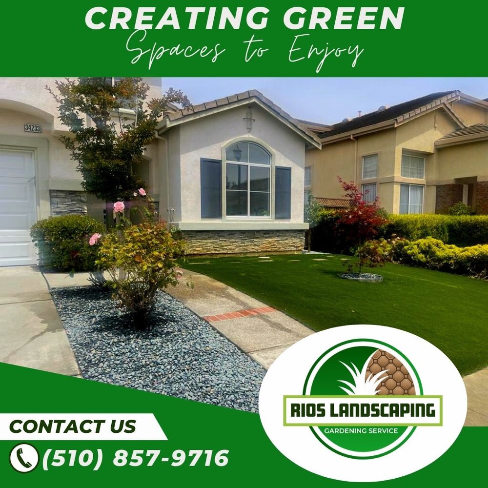 Rios Landscaping Gardening Service