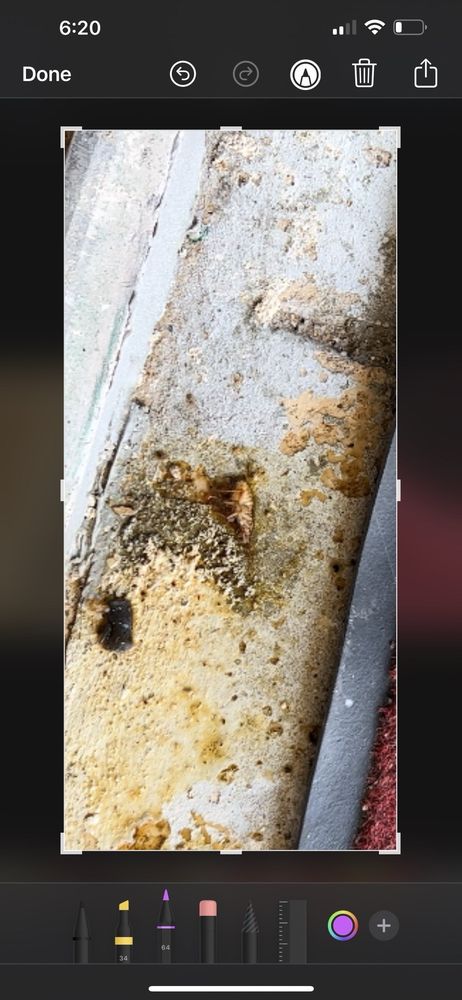 Monarch Bar and lounge Monarch Bar and lounge