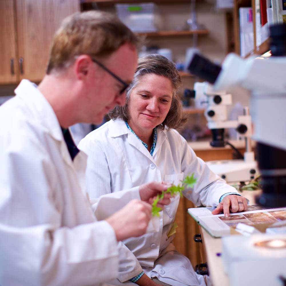 Bartlett Tree Experts - Wake Forest