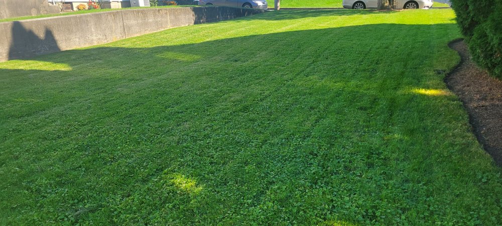 Lehigh Yardworks