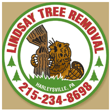 Lindsay's Tree Removal