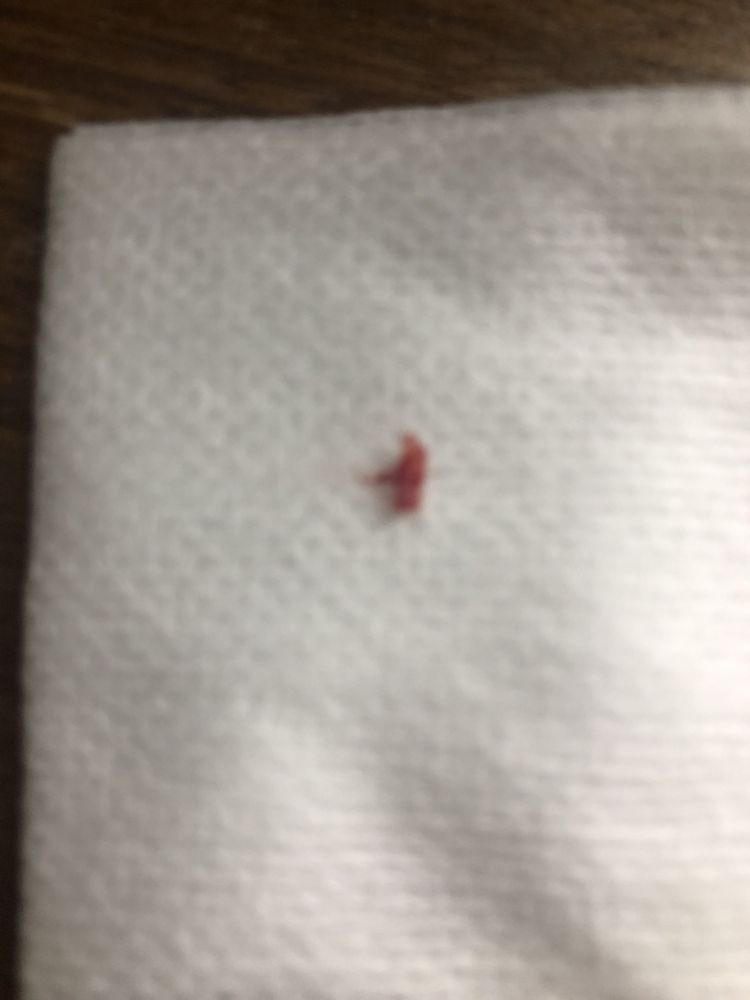 image of business Grewal Dental