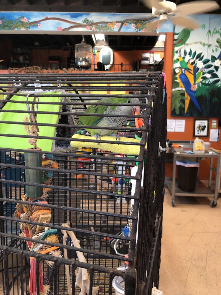the aviary bird shop 10 photos bird shops 22400 old the aviary bird shop 10 photos bird shops 22400 old