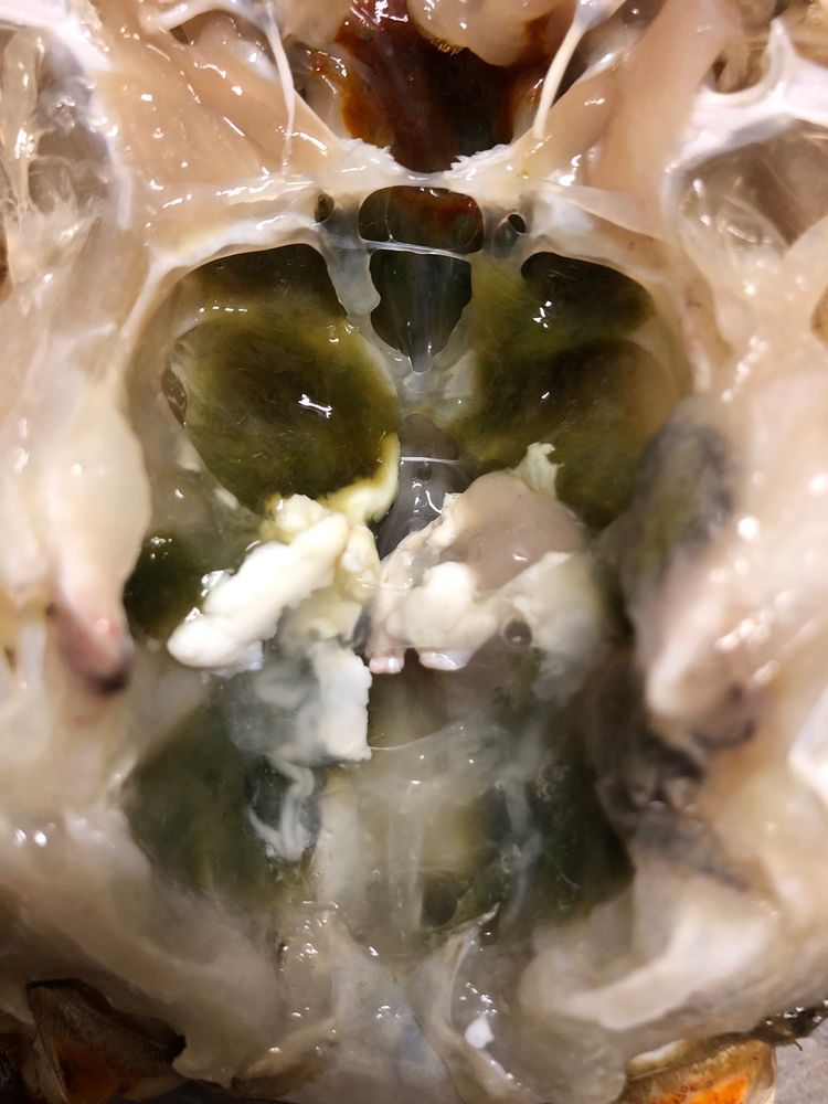 B&A International Foods