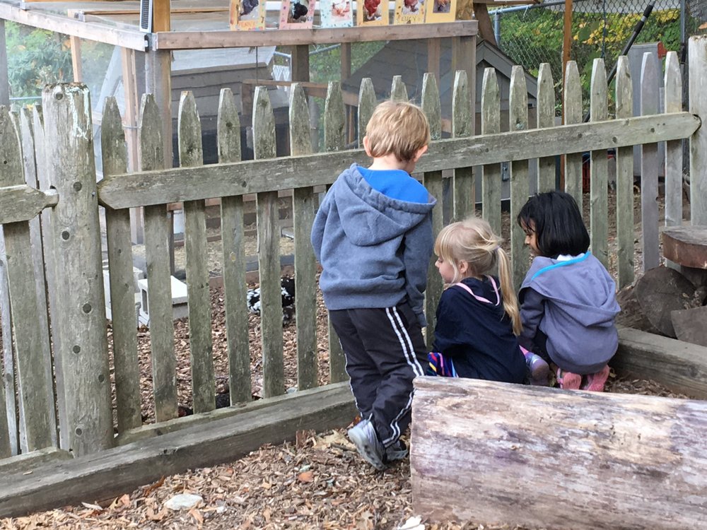 Framingham Centre Nursery School 13 Photos Child Care Day Framingham Centre Nursery School 13 Photos Child Care Day 24 Vernon St Ma Phone Number Last Updated December 19 2018 Yelp