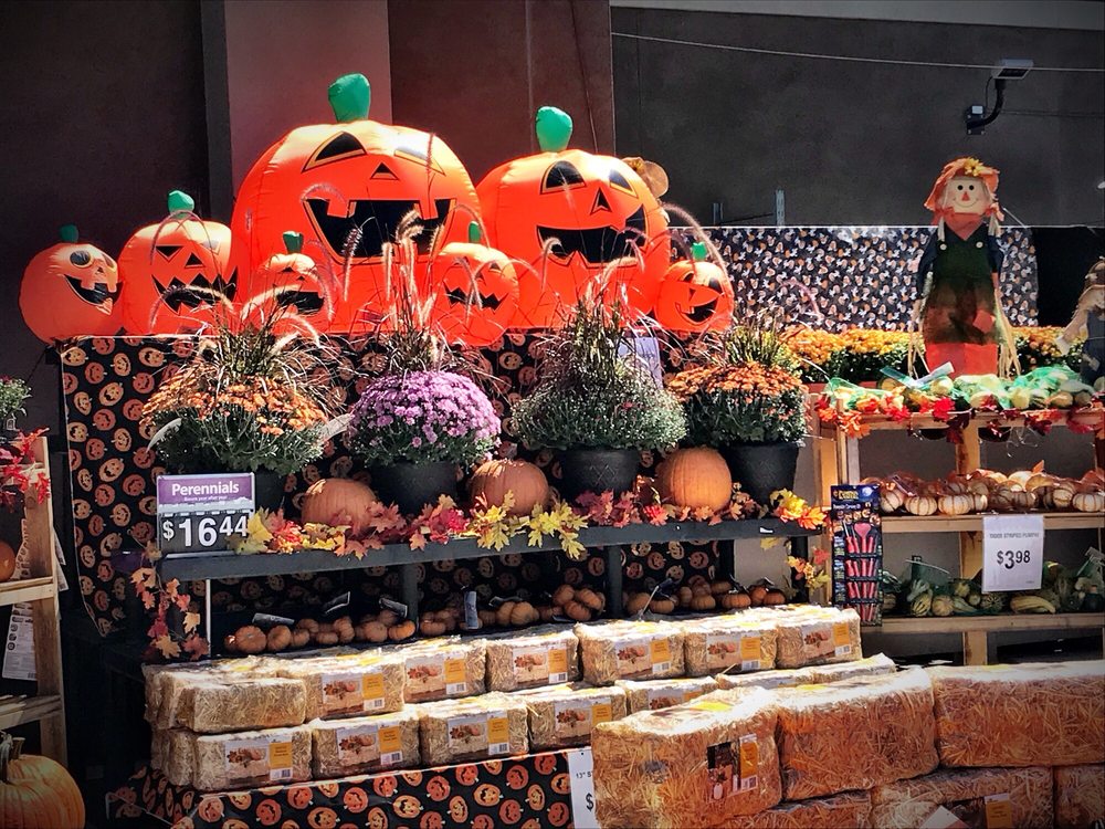 Walmart Garden Center
