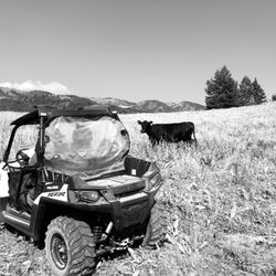 Best Atv Rentals Tours Near Sleepy J Cabins In Swan Valley Id Yelp