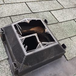 Bat Solutions Pest Control 5999 Caleta Dr Lansing Mi Phone Photo Of Bat Solutions Lansing Mi United States
