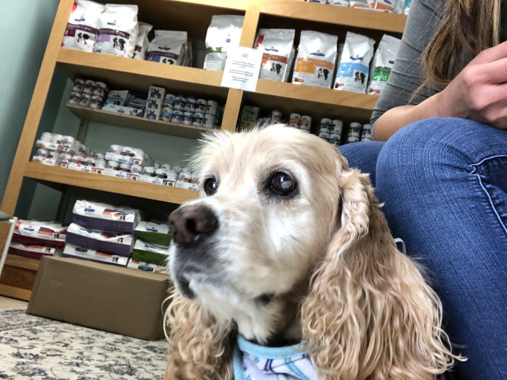 Lindsey Veterinary Care