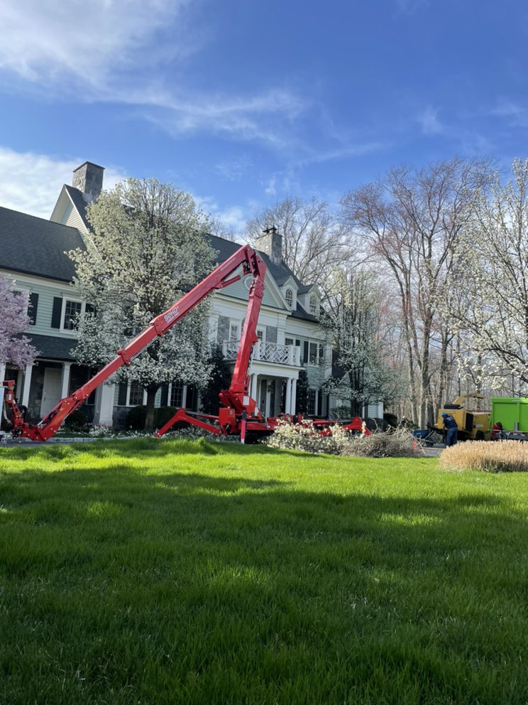 Xplus Tree Service