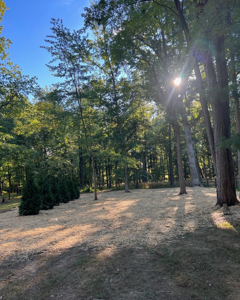 Malvern Lawn Care