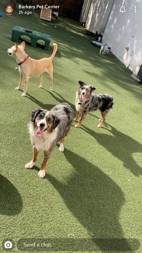 Barkers Pet Center