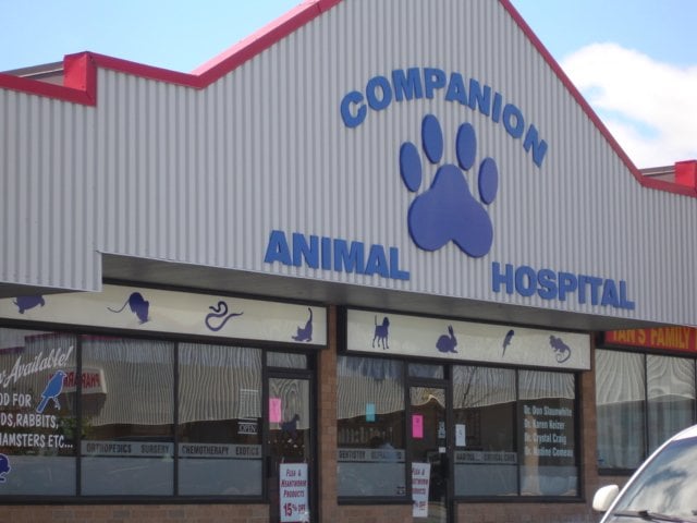 Companion pet clinic coupons