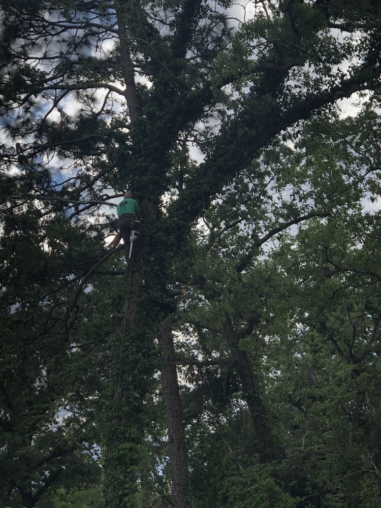 Lacey & Lacey Services