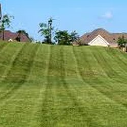 Photo of Arrow Exterminating - Brisbane Queensland, Australia