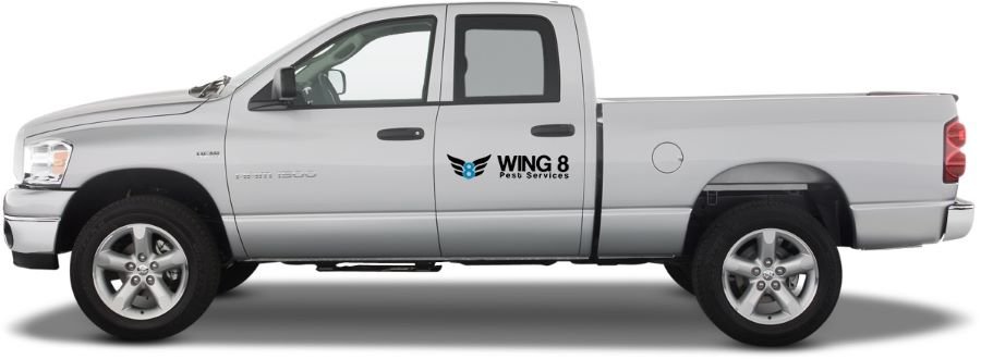 Wing 8 Pest Services