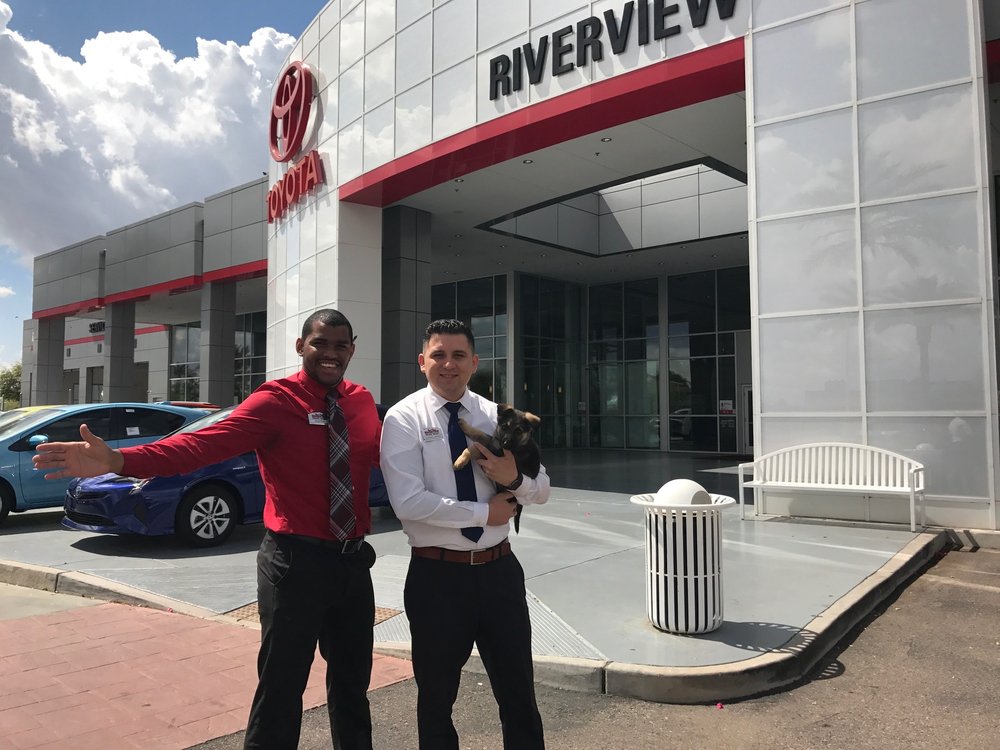 National Puppy Day At Riverview Toyota Yelp Photo Of B Berge S Riverview Toyota Mesa Az United States National Puppy