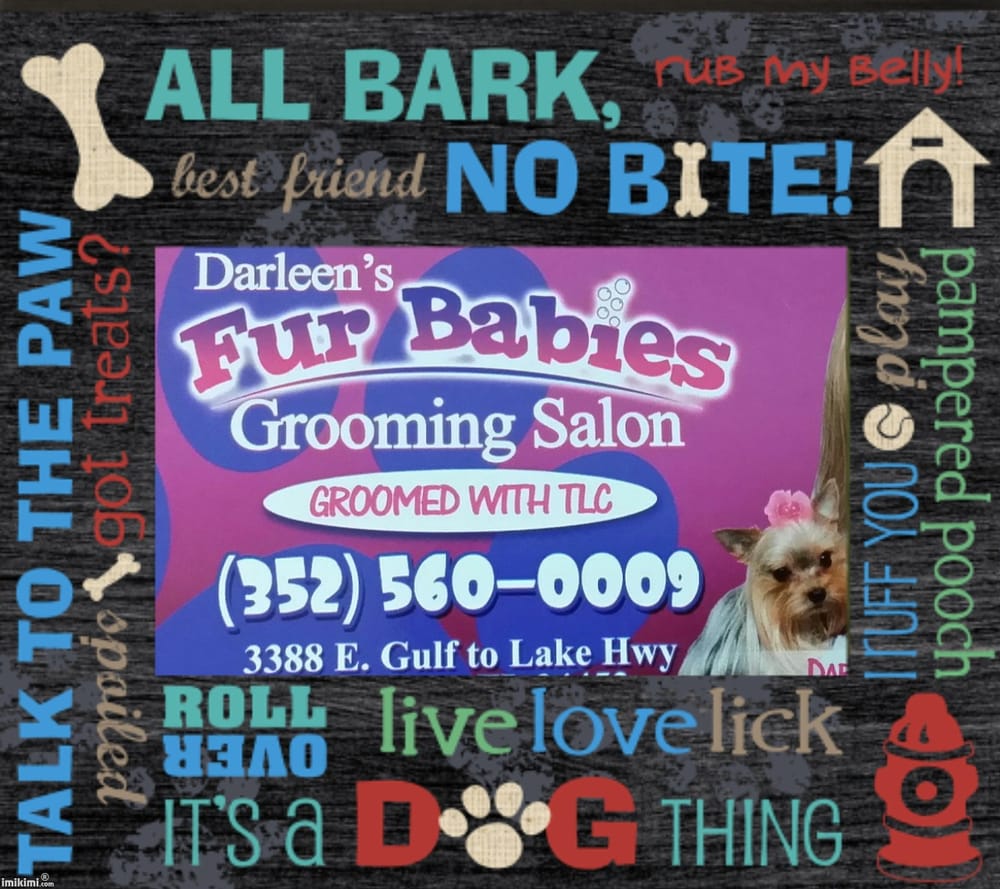 All About Cats And Dogs Ocala All About Cats And Dogs Ocala