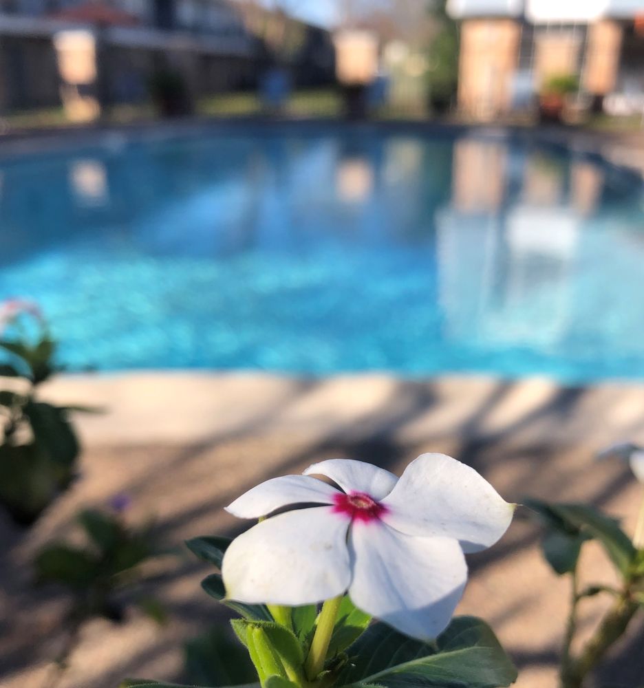 Treasure Bay Apartments