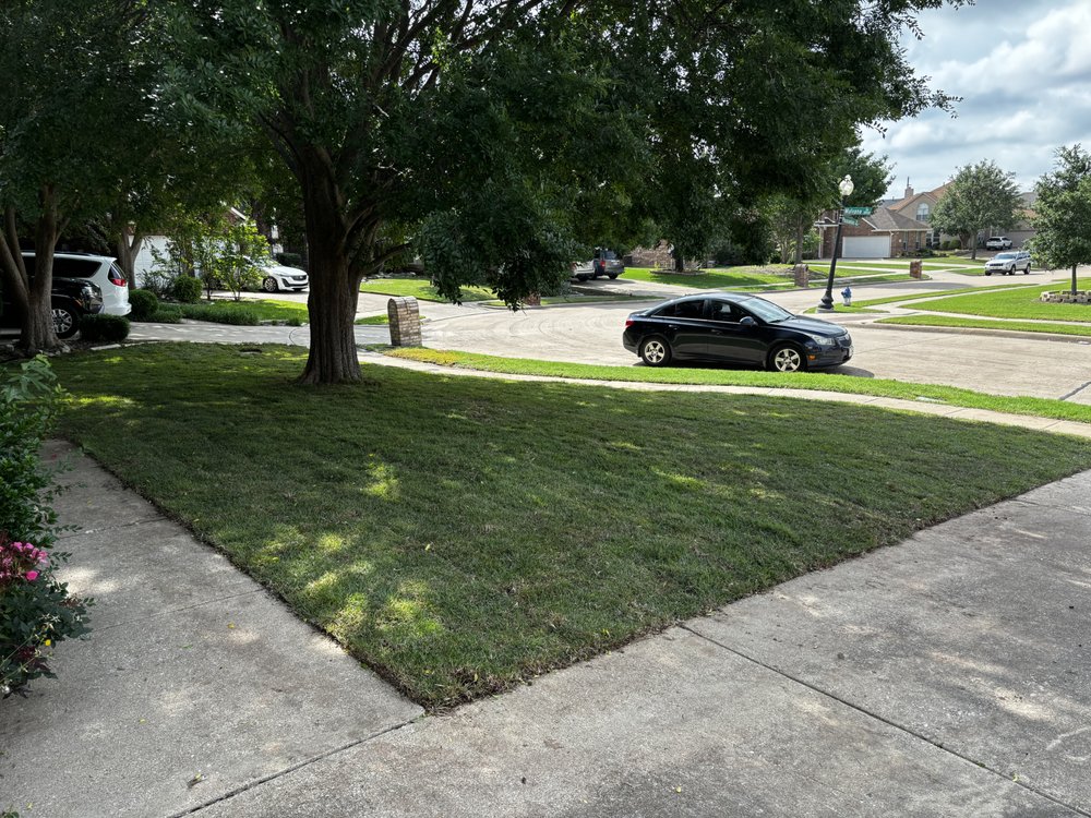 Lawn King Of North Dallas