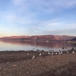 ta bay boat jet ski rentals ta fl lake mead boat rentals 17 photos boat charters 100 ta bay boat jet ski rentals ta fl lake mead boat rentals 17 photos boat charters 100